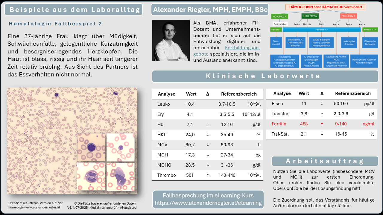 Lernkartenbeispiel Hämatologie